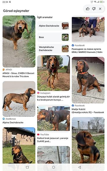 1 il, Erkək, Ünvandan götürmə lalafo.az -da 1 il, Erkək, Ünvandan götürmə