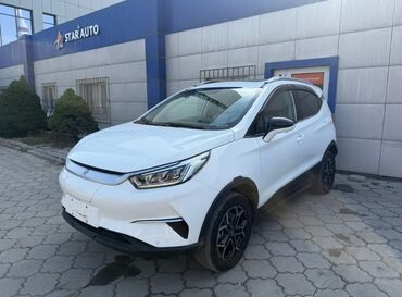 электромобили из китая: BYD : 2021 г., 0.1 - engine capacity л, Вариатор, Электромобиль, Кроссовер