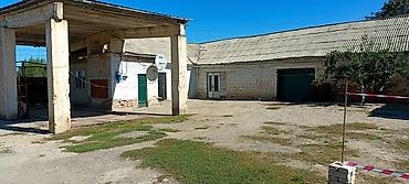 120: Продается в селе Кызыл суу, Джеты огузский район, Ыссыккульская — 3