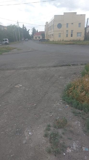 ucarda: 40 sot, Mülkiyyətçi, Kupça (Çıxarış) — 2
