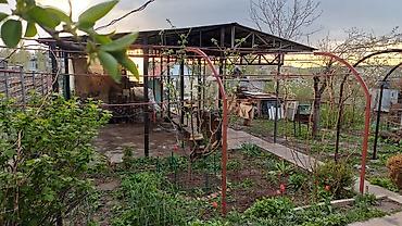 Продажа дач: 🏡 🏡 Продаётся уютная дача в селе Таш-Мойнок (Победа) Продаётся — 18