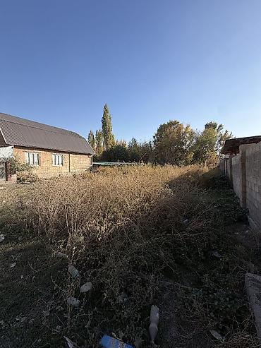 участок васильевка: 5 соток, Для строительства, Красная книга, Договор купли-продажи — 1
