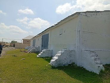 icarə koşk: Kənd təsərrüfatı və anbar təyinatlı qapalı tikili - Beton karkaslı və — 9