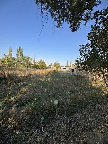 вагон строителный: 15 соток, Для бизнеса, Красная книга, Договор купли-продажи — 4