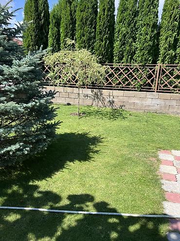 полицейский городок: Сдаю коттедж с.Чок -тал Коттеджный городок Демал Напротив — 3