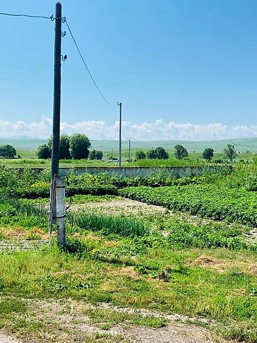 Продажа сельхоз предприятий: Продаётся действующая фермерская база/скотный двор. - Просторные — 15