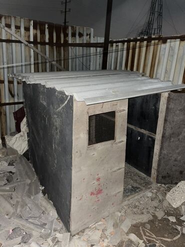 pişik ucun evlər: Hem it evi hem de quș xana ücün yararlıdır