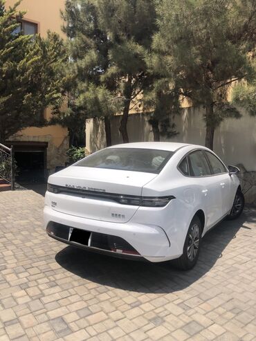 BYD: BYD : 1.5 l | 2024 il Sedan — 7