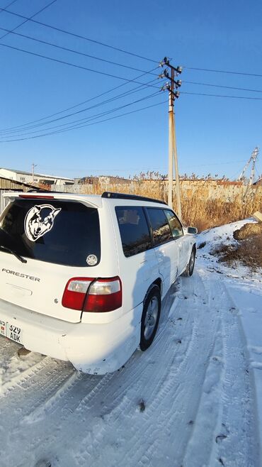 subaru авутбек: Subaru Forester: 2000 г., 2 л, Автомат, Бензин, Универсал