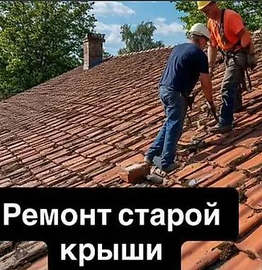 Кровля крыши: Профессиональный монтаж и ремонт кровли Замена крыша Ремонт кровля — 1