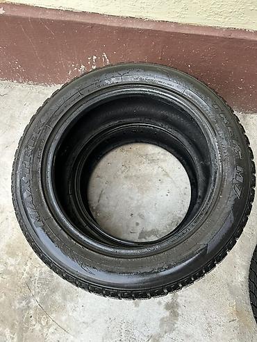 Шины 245 / 55 / R 19, Зима, Б/у, Комплект, Внедорожные (АТ/МТ), Китай, Maxtrek