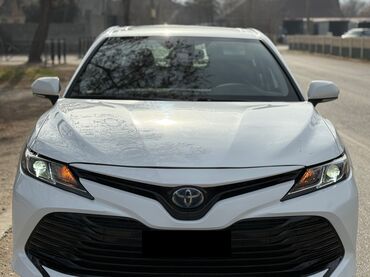 Toyota: Toyota Camry: 2020 г., 2.5 л, Автомат, Гибрид, Седан — 1