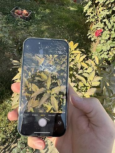 Apple iPhone: IPhone 14 Pro, Серебристый, 100 % — 7