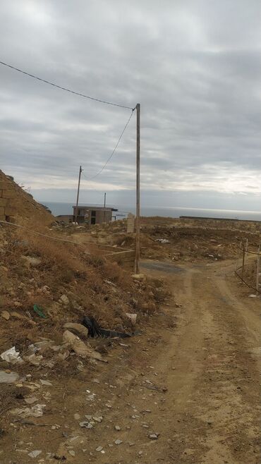 badamdarda torpaq: 30 sot, Biznes üçün, Maklerlər narahat etməsin, Kupça (Çıxarış)