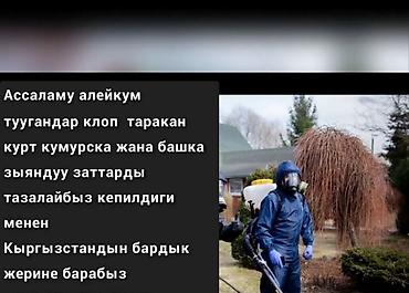 Дезинфекция, дезинсекция, | Клопы, | Квартиры