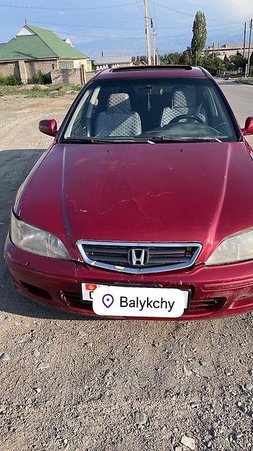бампер хундай саларис: Honda Accord: 2001 г., 2 л, Механика, Газ, Седан — 5