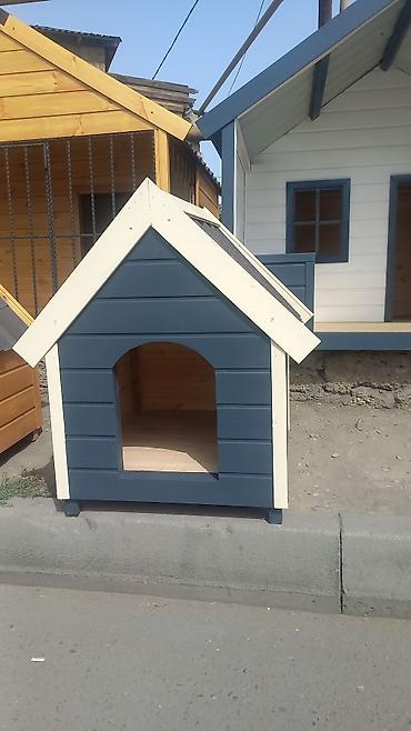 Yuvalar: Darvazabazari.az oz mehsullarin teqdim Edir Diqqetle Oxuyum Bu — 9