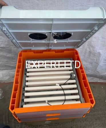 Digər quşlar: Smart-rejimli inkubatorlar satılır. Aparatlar tam olaraq avtomat, və — 14