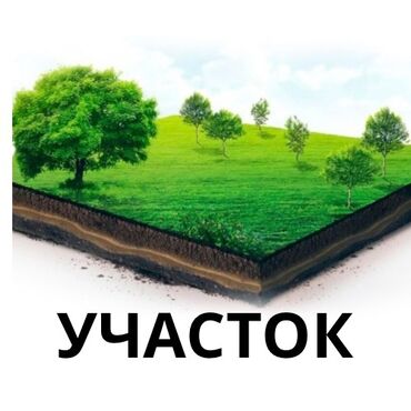 арча бешик 1: 4 соток, Бизнес үчүн, Кызыл китеп, Сатып алуу-сатуу келишими