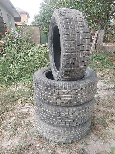 lining pantera: Комплект зимних шин Toyo Observe Garit G5. - Размер: 205/60 R16 92Q — 6