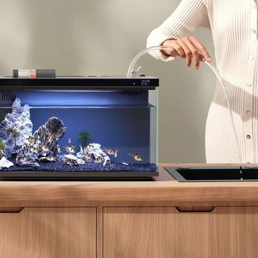 рыба фарел: Умный аквариум Xiaomi Mijia Smart Fish Tank (MYG100)