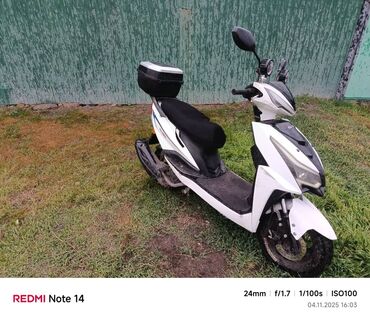 ремень для скутера: Скутер түрү M8, 125 куб. см, Бензин, Колдонулган