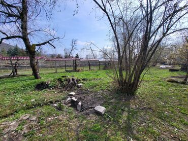 Torpaq sahələrinin satışı: Tikinti — 25