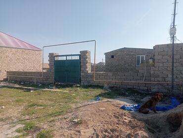 Yeni tikili: 1 otaqlı, Yeni tikili, 70 kv. m