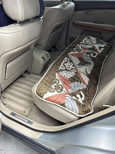 Lexus: Lexus RX: 2004 г., 3.3 л, Автомат, Бензин, Внедорожник — 10