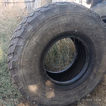 Шина Бел-1260 BELSHINA, радиальная, размер 425/85R21 (аналог — 2