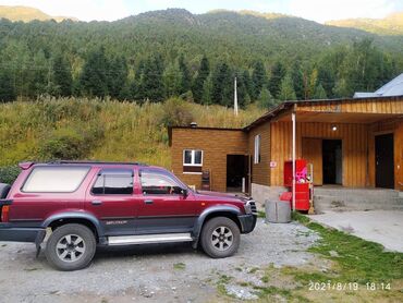 ауди 1995: Toyota Hilux Surf: 1995 г., 3 л, Автомат, Дизель, Внедорожник