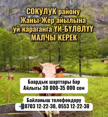 скрябина советская: Требуется Пастух, Оплата Ежемесячно