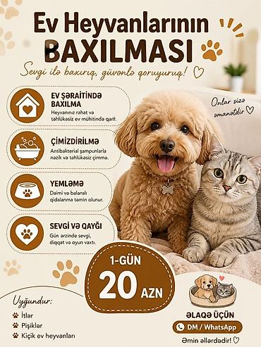 pişik üçün yuva: Ev heyvanlarının baxılması xidməti - Yemləmə: Daimi və balanslı — 1