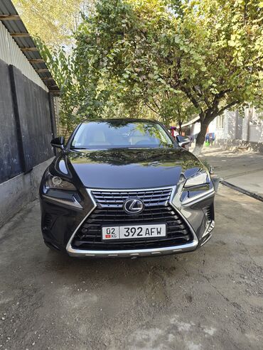 шины на 16 размер: Lexus NX: 2021 г., 2.5 л, Вариатор, Гибрид, Кроссовер