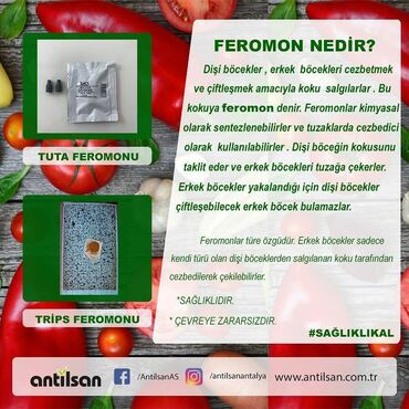 Feremon satılır. Təcili