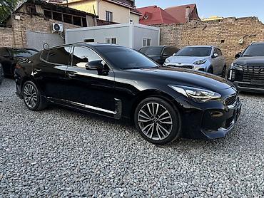 lining pantera: Kia Stinger: 2018 г., 2.2 л, Автомат, Дизель, Лифтбек — 3