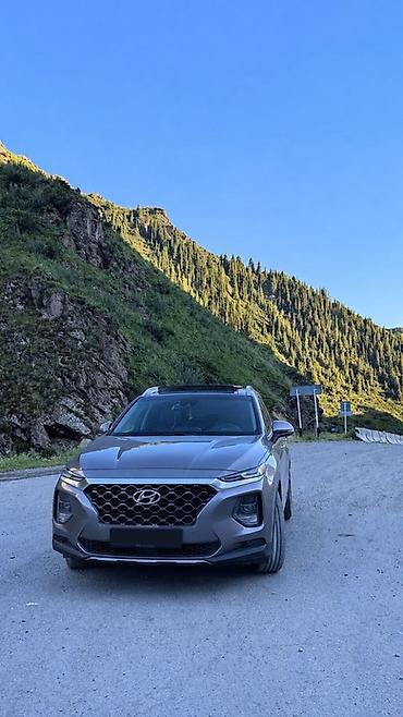 galaxy fit: Hyundai Santa Fe: 2019 г., Автомат, Кроссовер — 1