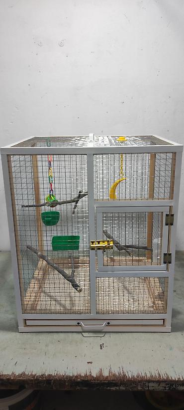hamster qəfəsi: Papuqay,dovşan,hamster,şinşila,bildirçin,cücə,xamyak,pişik,quş,tısbağa — 4