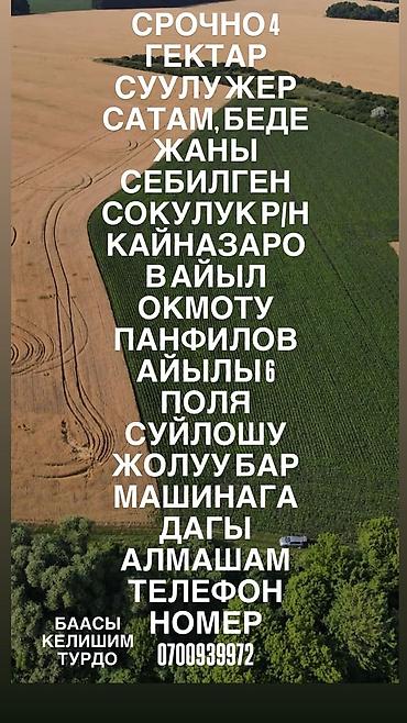 свет сокулук: 4 соток, Для сельского хозяйства, Красная книга — 1