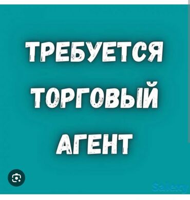 пицца печь б у: Требуется Торговый агент, График: Пятидневка, Без опыта, Оплачиваемый отпуск, Полный рабочий день