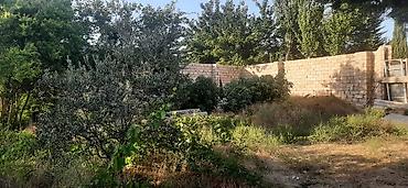 Torpaq sahələrinin satışı: Tikinti — 9