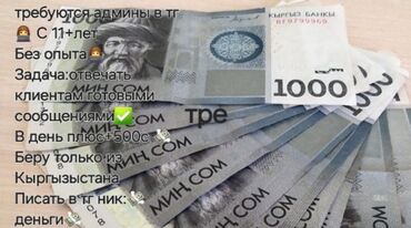 работ бишкек: Башка адистиктер