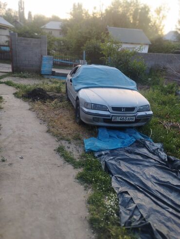 опел вектра а: Honda Accord: 1998 г., 2 л, Механика, Газ, Седан