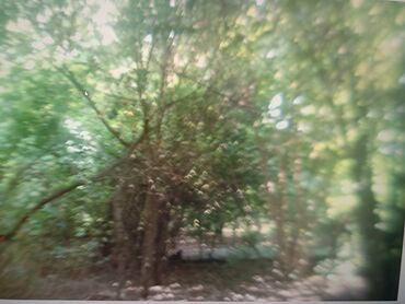 Torpaq sahələrinin satışı: 21 sot, Tikinti, Mülkiyyətçi, Kupça (Çıxarış) — 9