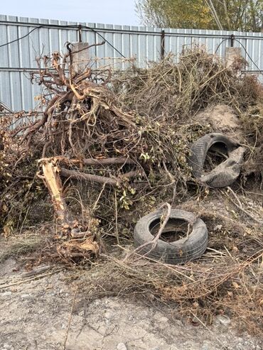 уголь с доставкой бишкек: Отун Өзү алып кетүү