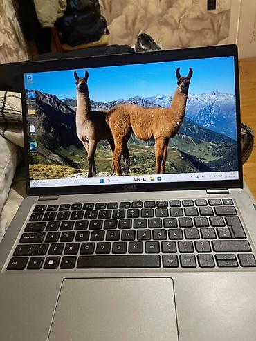 Dell Latitude 5420 noutbuku İşlənmiş Xüsusiyyətlər: - Prosessor