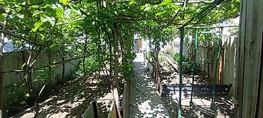 жаны уйлор: Продам дом 2 этажа 57м² жилая площадь. 5 комнат. участок 7 соток есть — 3