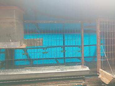 Товары и оборудование для с/х животных: Трëхярусная клетка для содержания перепёлок/цыплят - Конструкция — 6