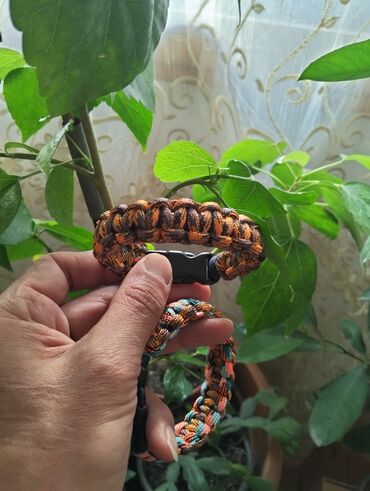 Bilərziklər: Bilərzik — 3