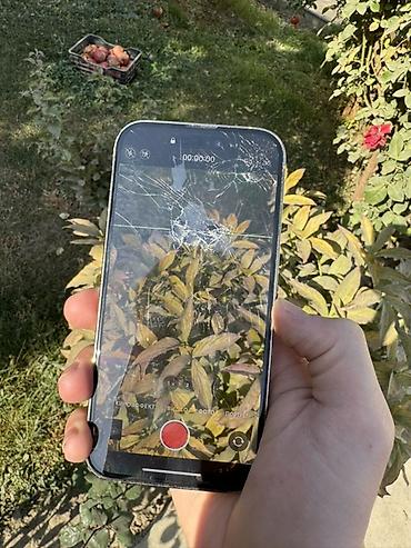 Apple iPhone: IPhone 14 Pro, Серебристый, 100 % — 8